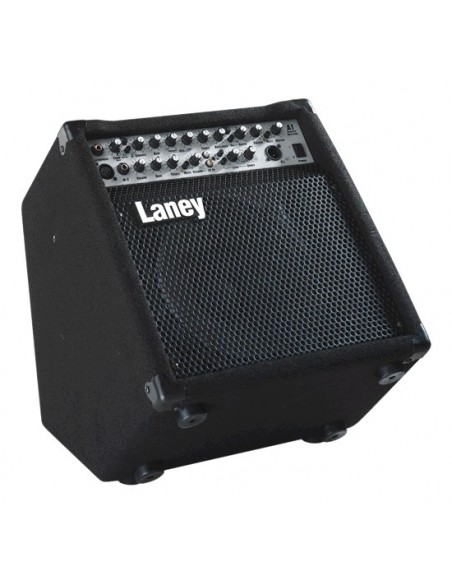 Laney A1