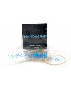 Harley Benton Mandolin Strings