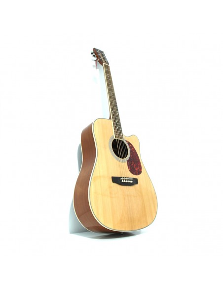 Pamel Guitar FG068C