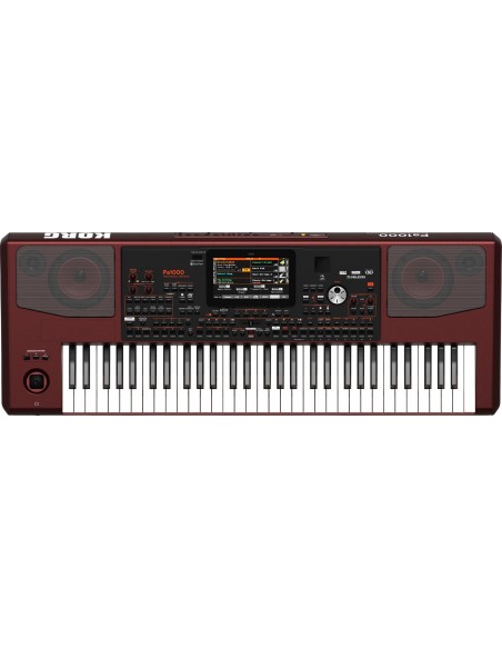 Korg Pa1000