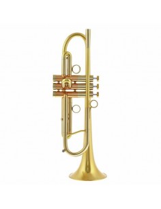 Trompeta Adams A4LT Brass...