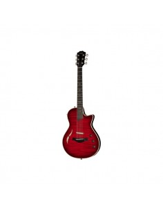 Taylor T5z Pro CR B-Stock