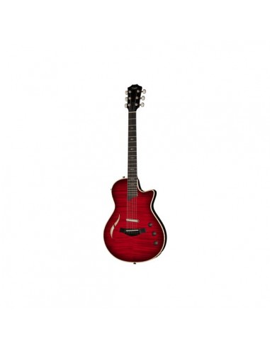 Taylor T5z Pro CR B-Stock