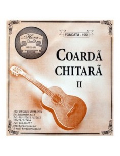 Coarda Chitara Acustica II Si